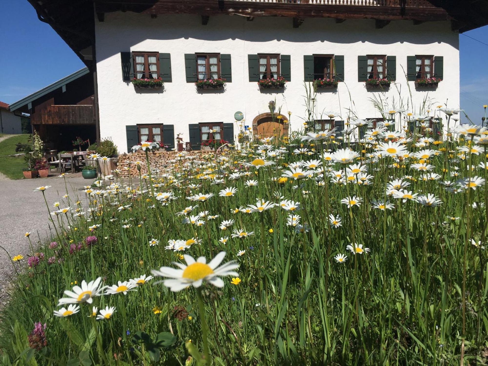 Stadlerhof Frasdorf Luaran gambar